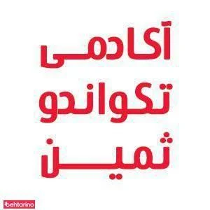 آکادمی تکواندو ثمین 2