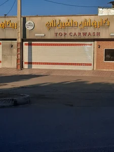 کارواش دلفین طلایی 2