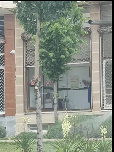 نانوایی سنگکی
