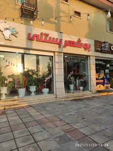بوشهر بستنی