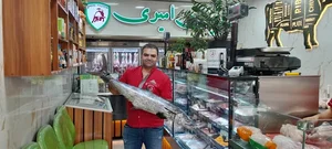 پروتئین امیری