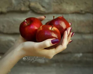 اتلیه بزرگ سیب سرخ