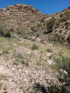 دره حسین کشته