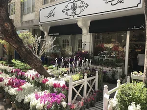 گل‌فروشی میخک نقره‌ای
