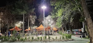 پارک جنگلی خلیج فارس
