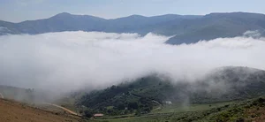 اسالم تالش