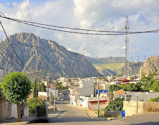 Amedi center viewpoint