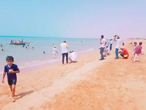 ساحل گامبرون
