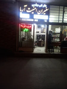 سفیران امنیت آریا