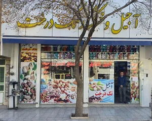 آجیل وخشکبار تک درخت(شهباز)