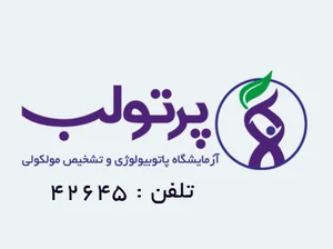 پرتولب