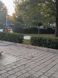 بوستان پونه 4