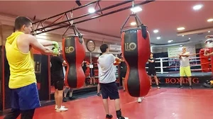 باشگاه بوکس و رزمی مهدی هاشمی