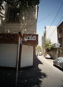 فست فود هامیر