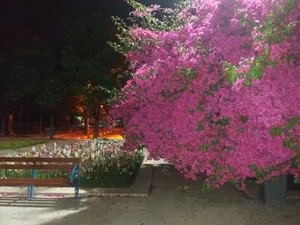 بوستان یاسمن 5