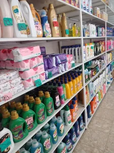 شوینده و بهداشتی اطلس 3