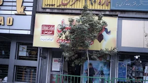 شیرین عسل