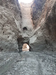 برنجکوبی