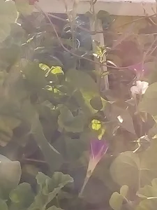 فروشگاه لوازم خانگی وحدت