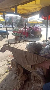 چهاردهی مارکیت