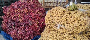 فروشگاه دهقانی در رشت (خرما و خشکبار) 3