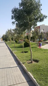 ميدان پانزده خرداد