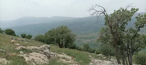پۊان (که‌ ر)
