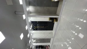 کاشی پرسپولیس 2