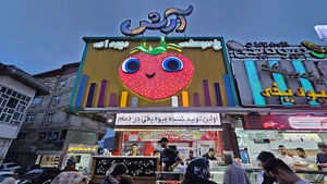 میوه یخی آرش