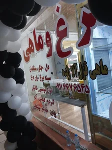 سوپر پروتئینی نیلا 5