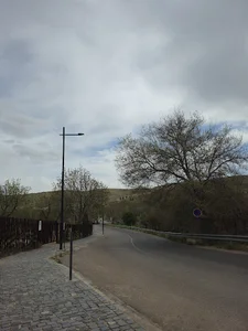 پیاده‌رو باغ گلها