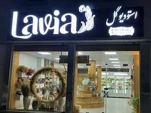 Lavia استودیو گل لاویا