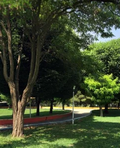 بوستان محمدیه 3