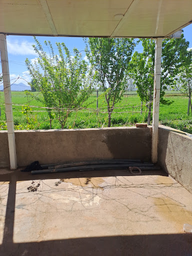 مزرعه باغ مجی