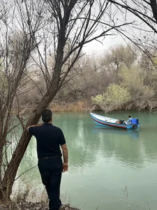 بیشه تنگ عقیلی