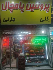 پروتئین پامچال 3