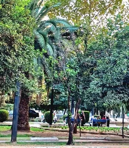 پارک گلها 2