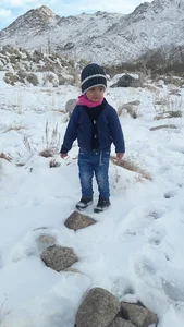 سوپر لبنیاتی سید