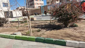 پارک سعدی