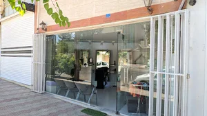 امیر میرزایی