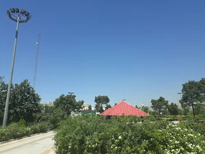 بوستان رییسعلی دلواری