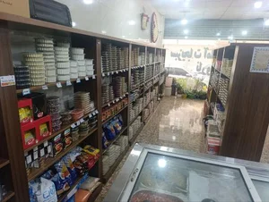 سبزیجات آماده طبخ نارون 2