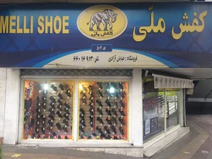 کفش ملی ۵۰۲ آزادی