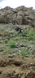 که ریواس