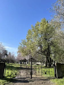 فضای سبز