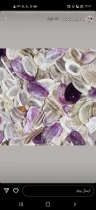 انغوزه آذری 5