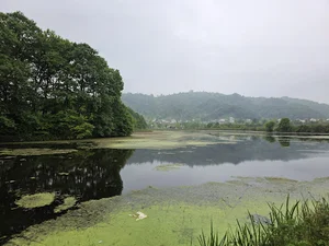 سوستان