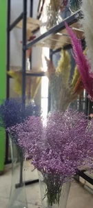 گلسرای لاله 3
