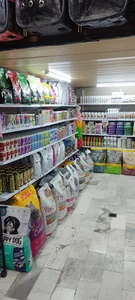 پتشاپ لاکی پت شعبه ۳