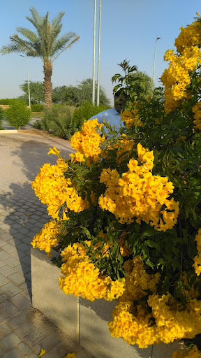 Cercon site office